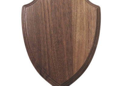 KP-120B, SHIELD PLAQUE