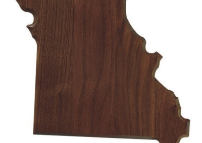 STATE SHAPED